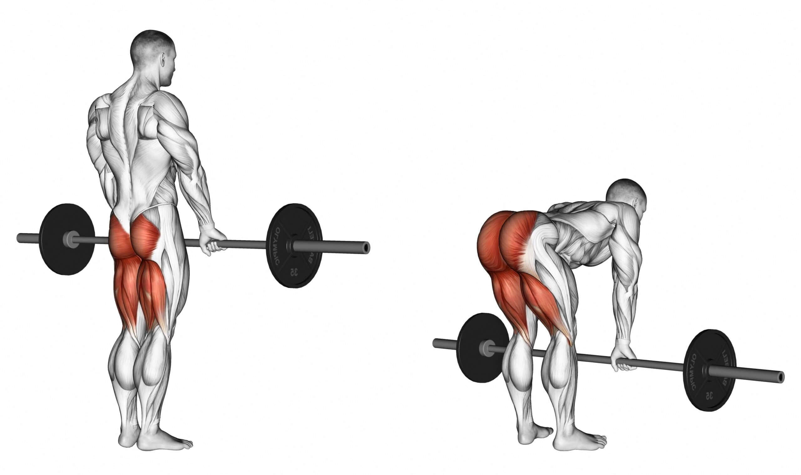 stiff-legged deadlift