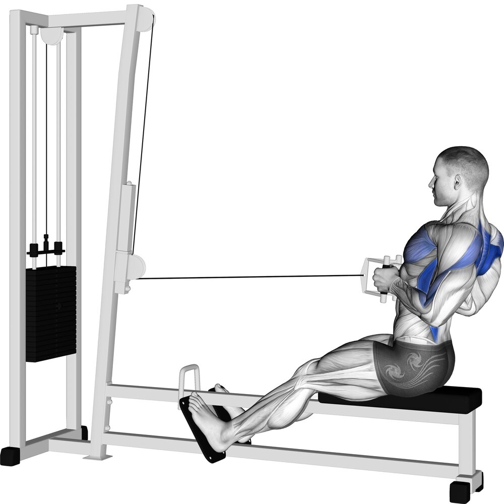 seated cable row